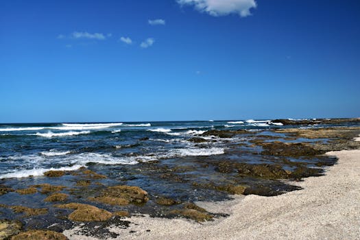 Lola's Beachfront Restaurant