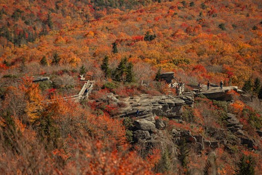 Lookout Trail