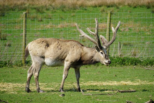 Loru Conservation Area