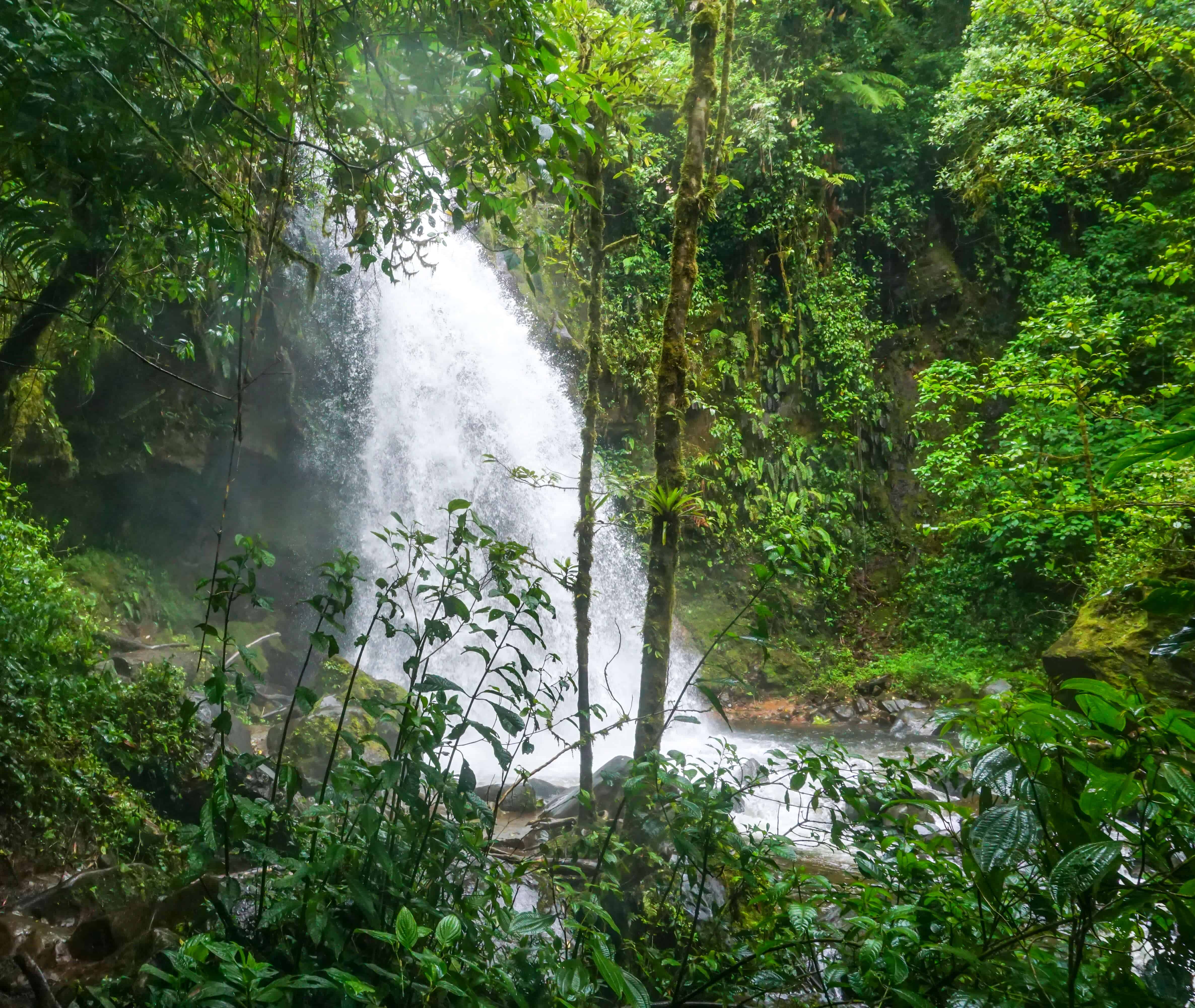 Lost Waterfalls