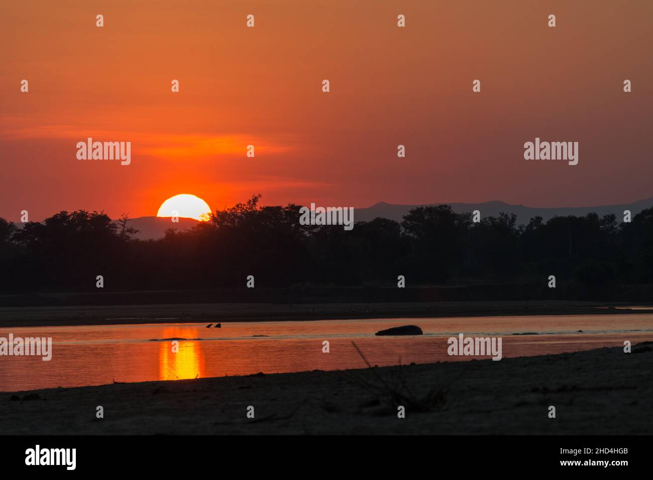 Luangwa River