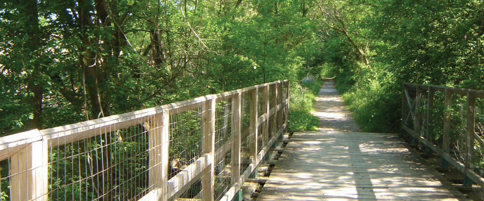 Lynn Valley Trail