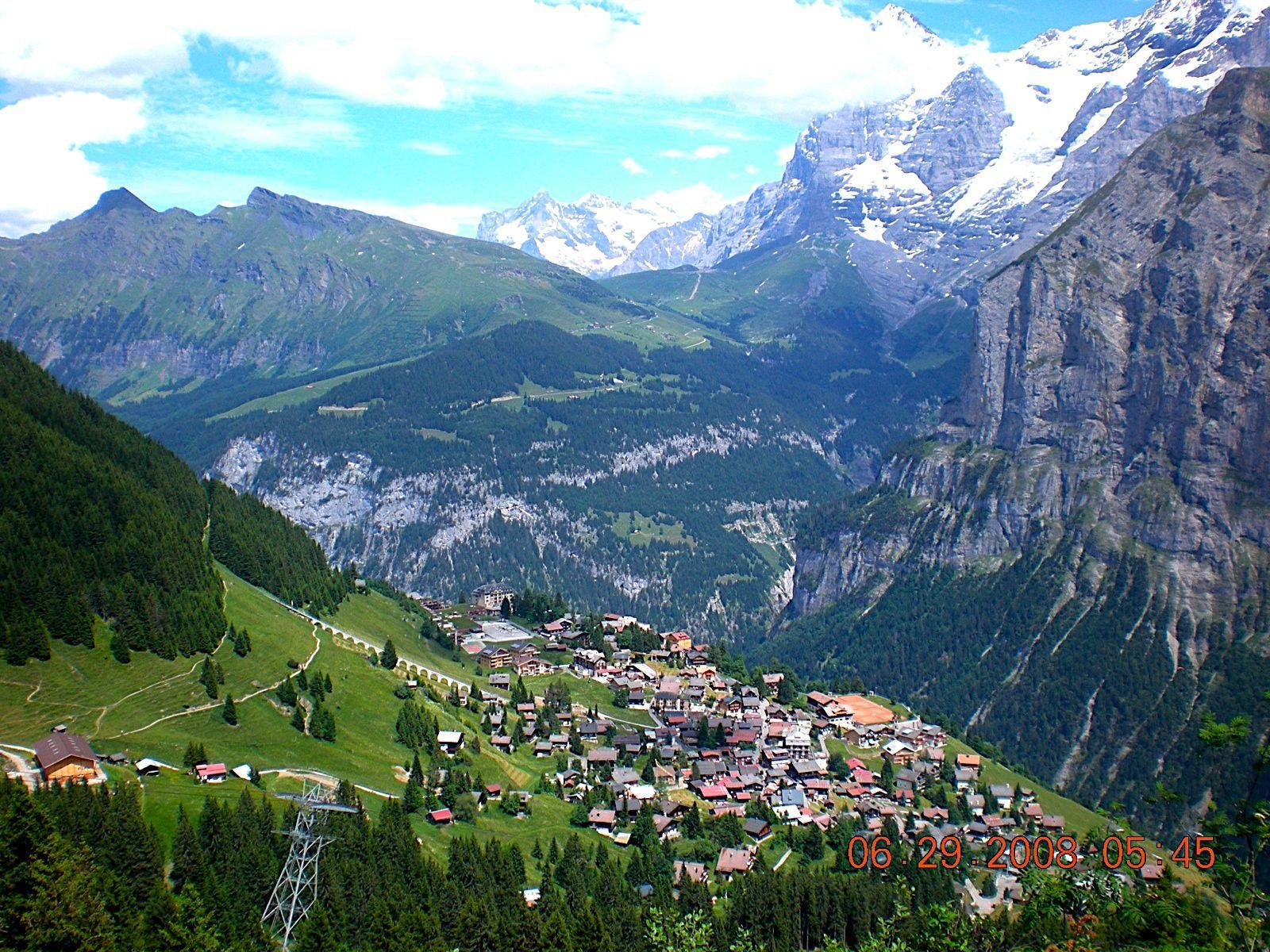 Mürren Alpine Garden