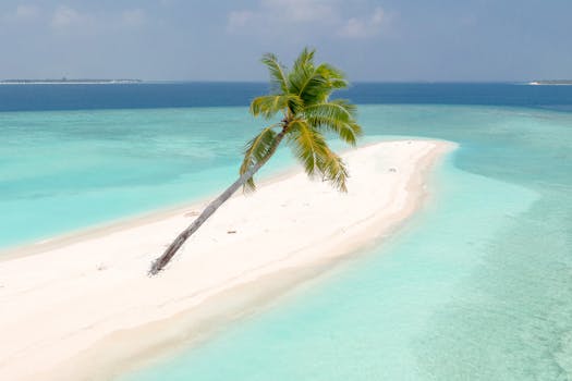 Maafushi Local Market