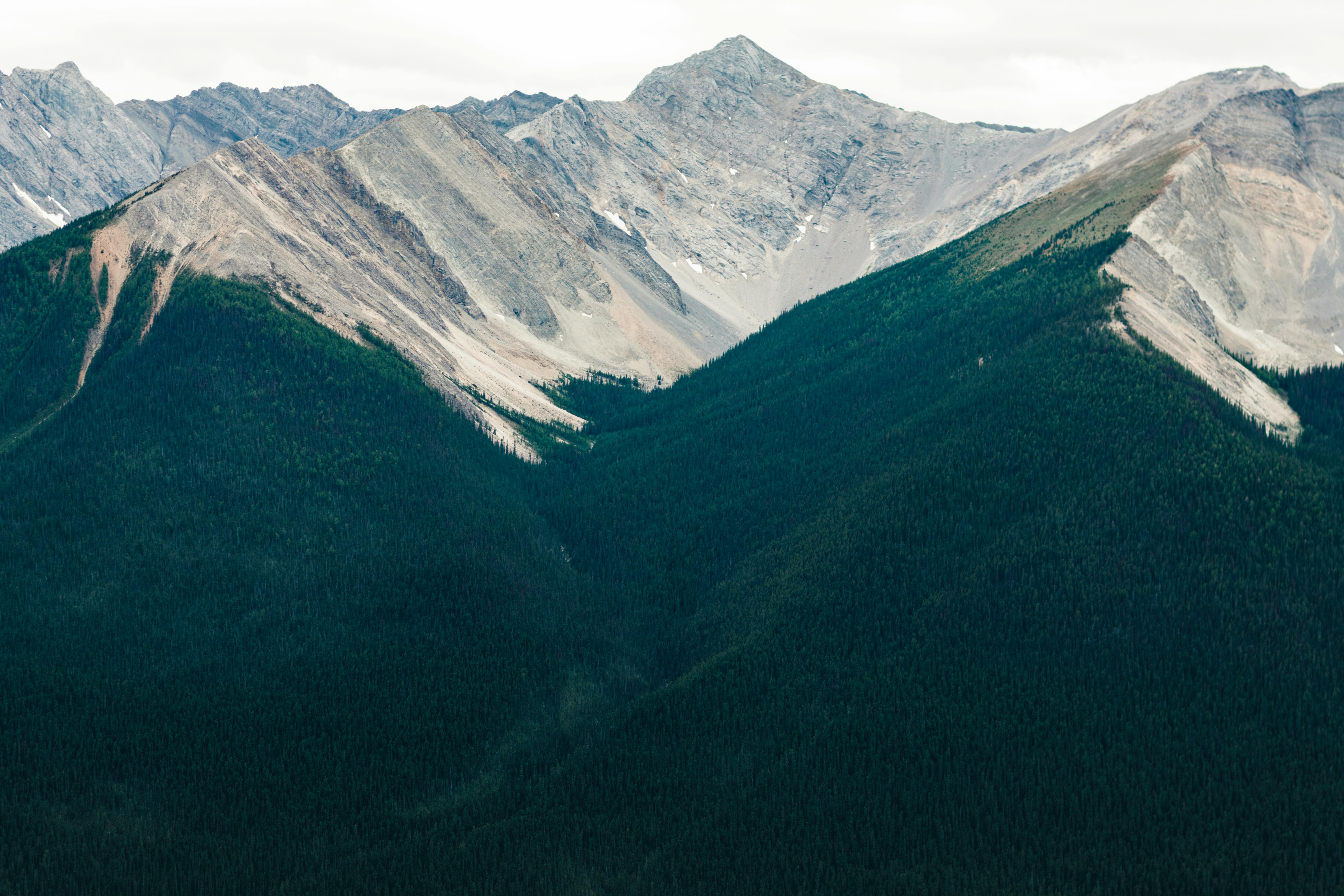 Macaulay Mountain Conservation Area