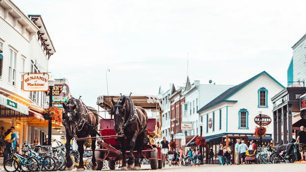 Mackinac Island Carriage Tours