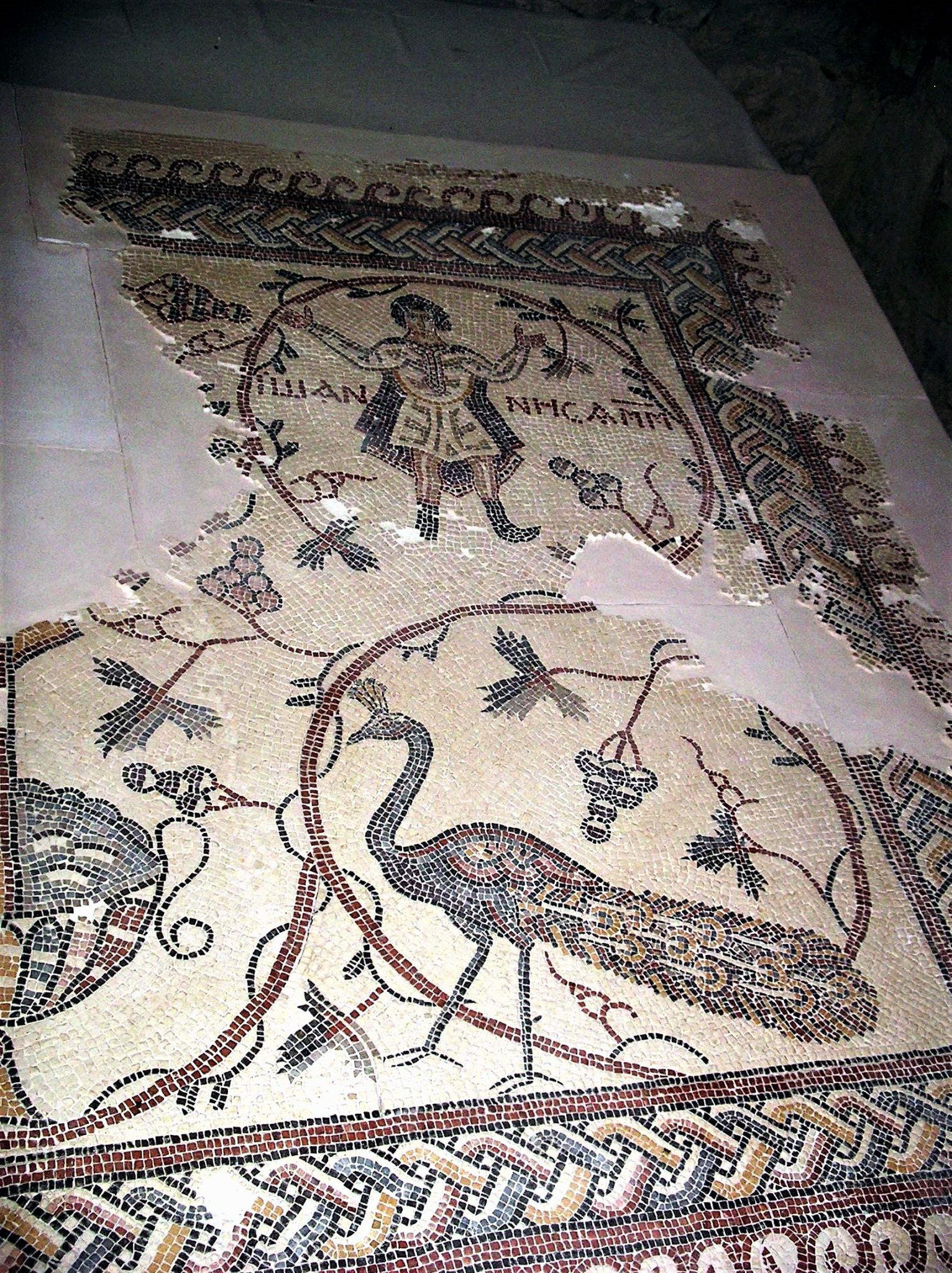 Madaba Mosaics