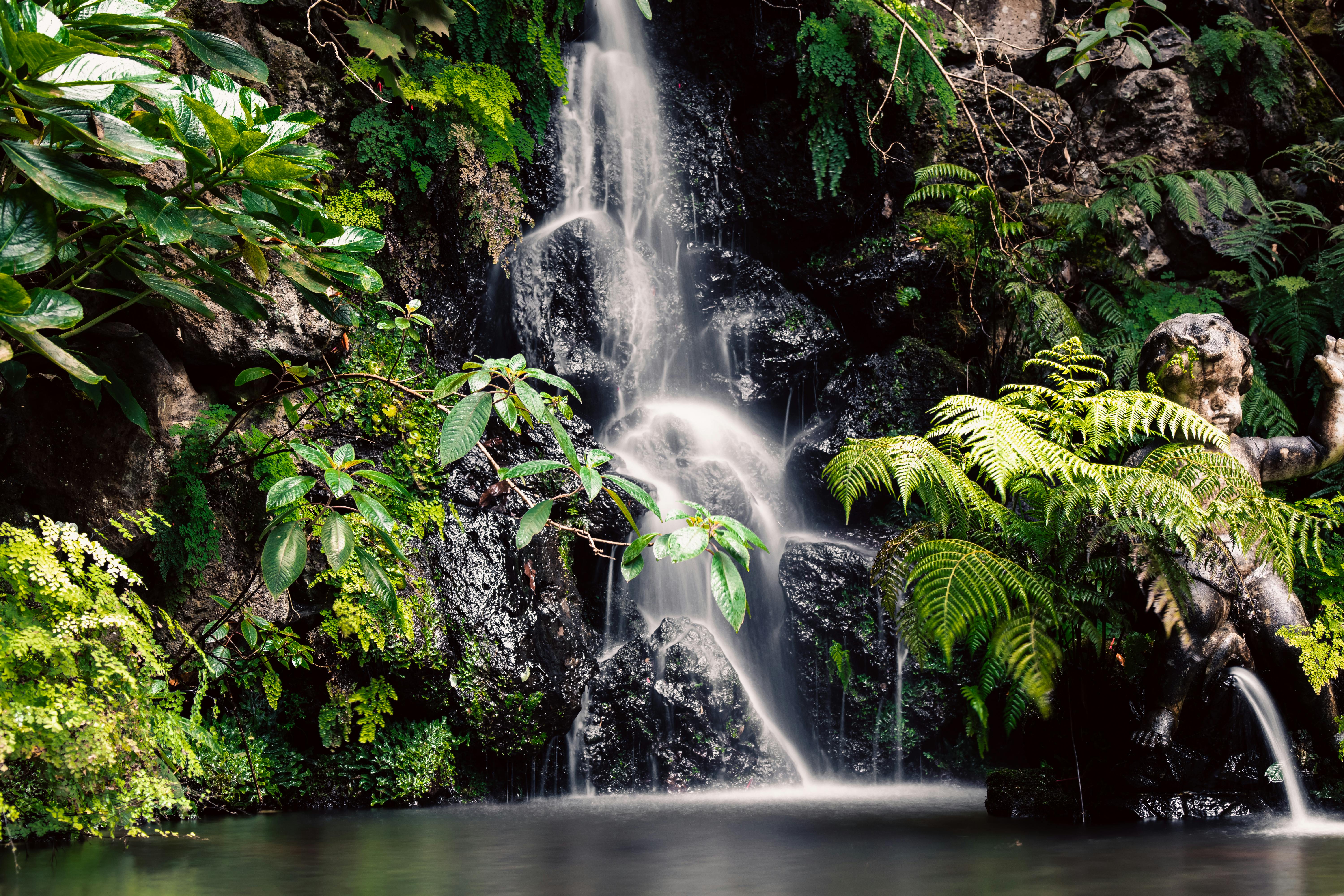 Madeira Botanical Garden