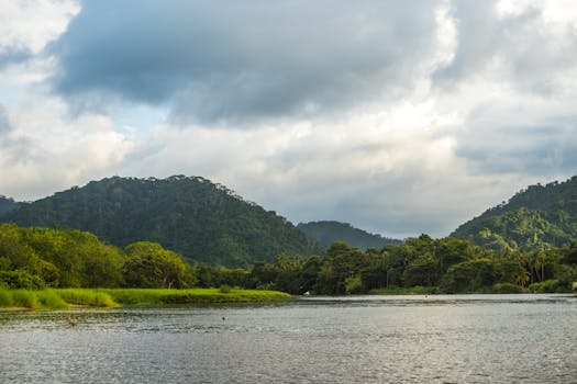 Magdalena River