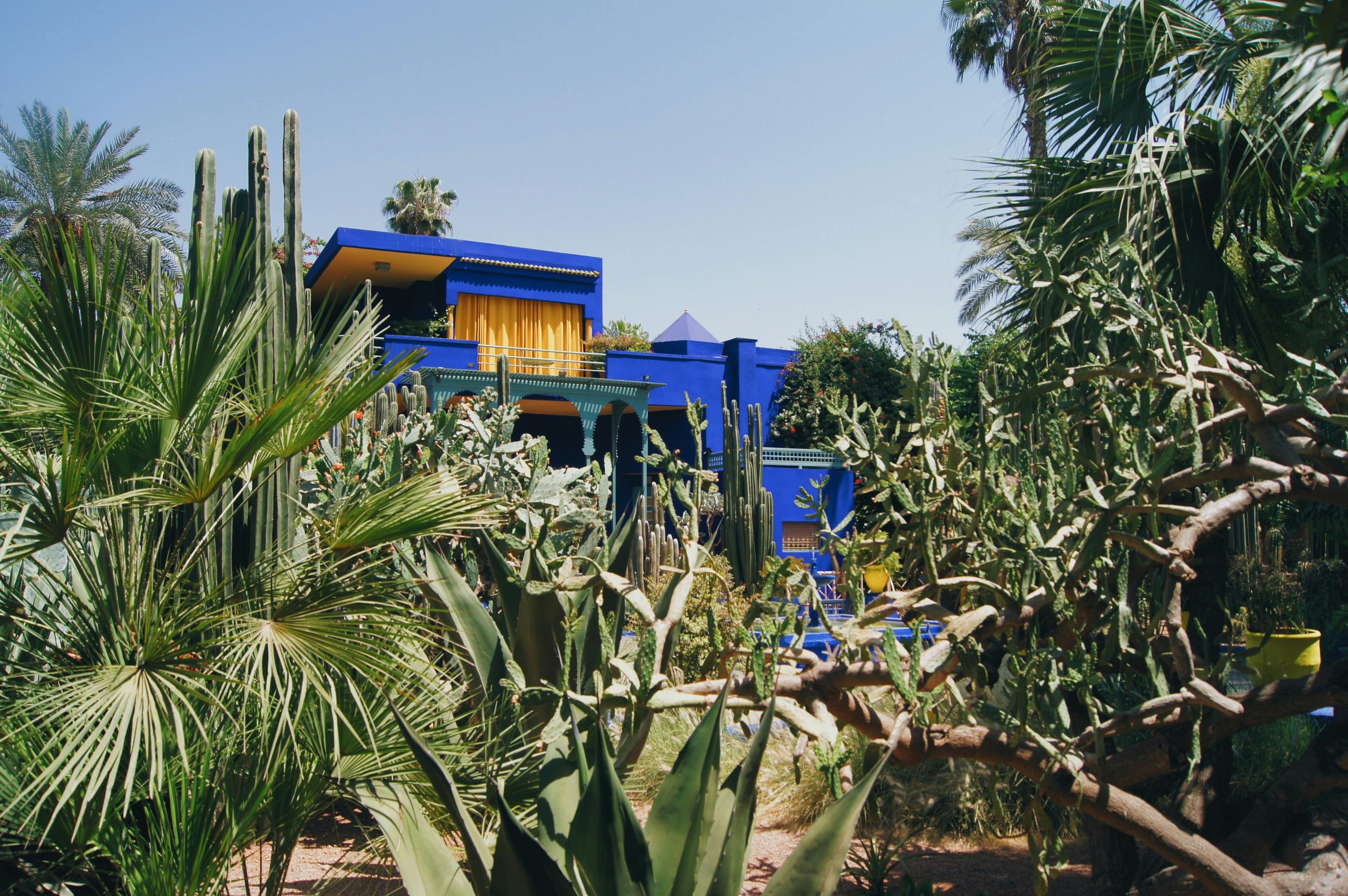 Majorelle Garden