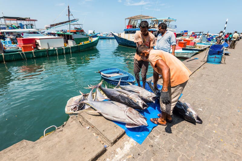 Male Fish Market