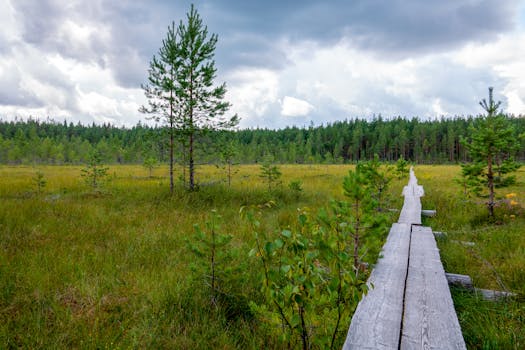 Malla Strict Nature Reserve