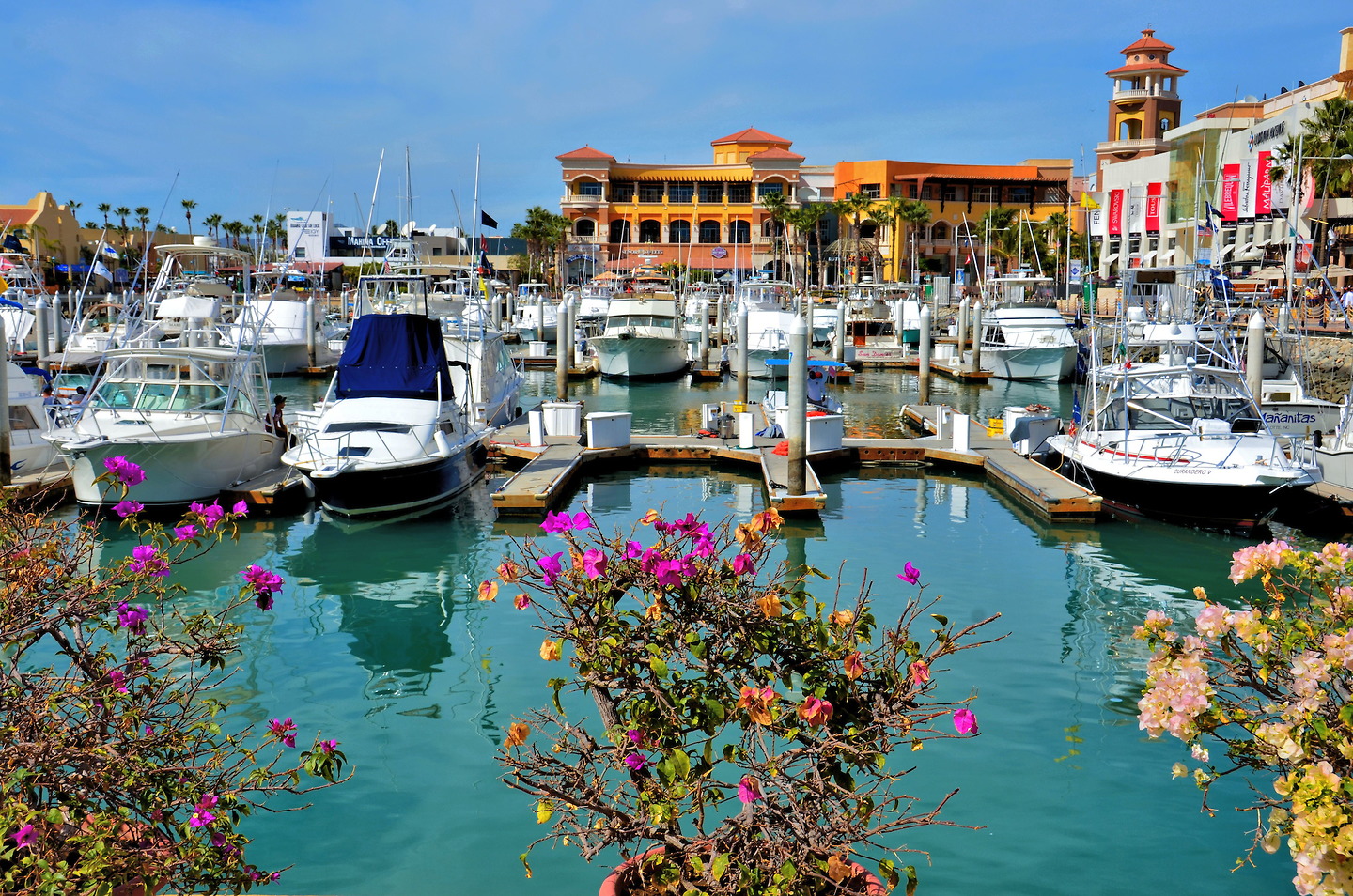 Marina Cabo San Lucas