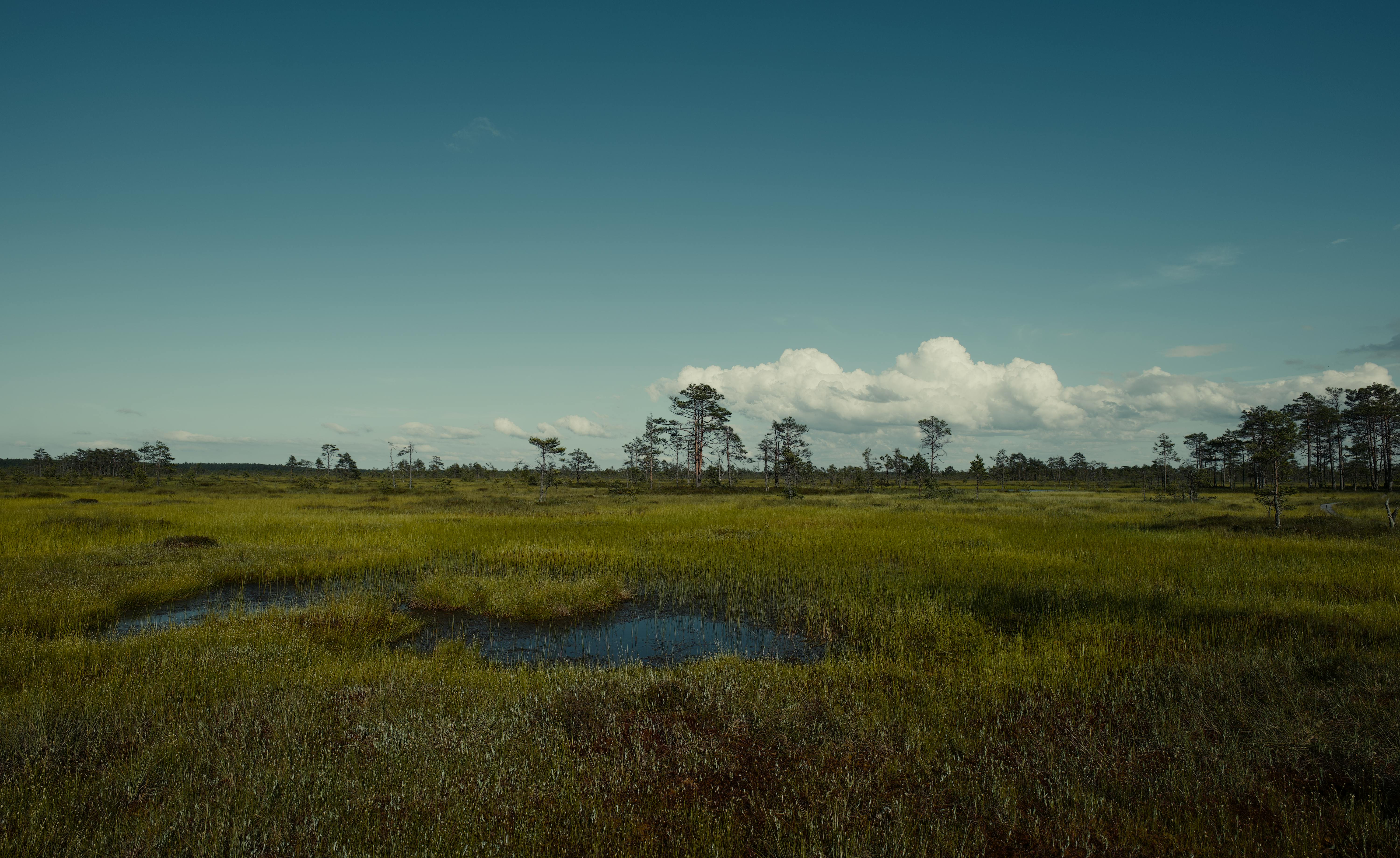 Marjamaa Nature Reserve