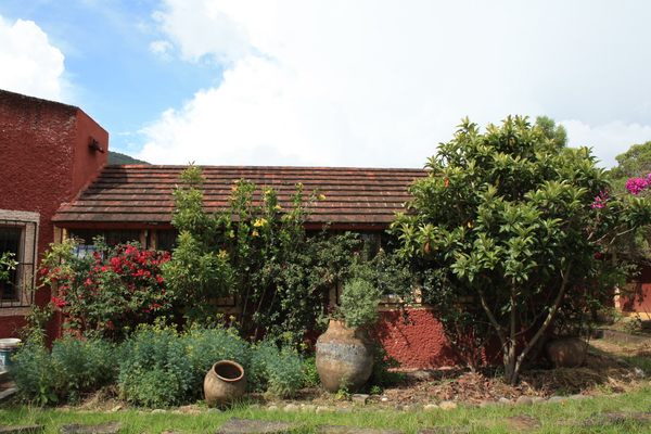 Mayan Medicine Museum