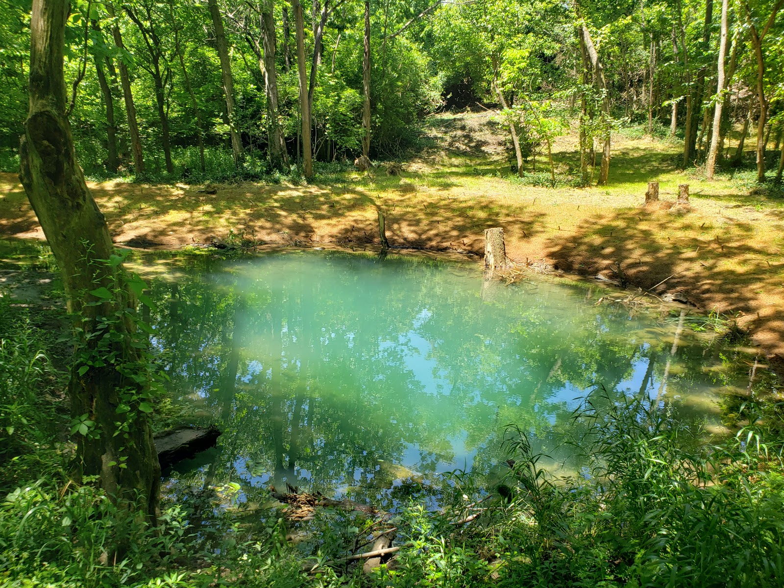 McConnell Springs Park