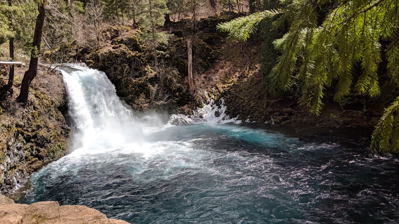 McKenzie River Trail