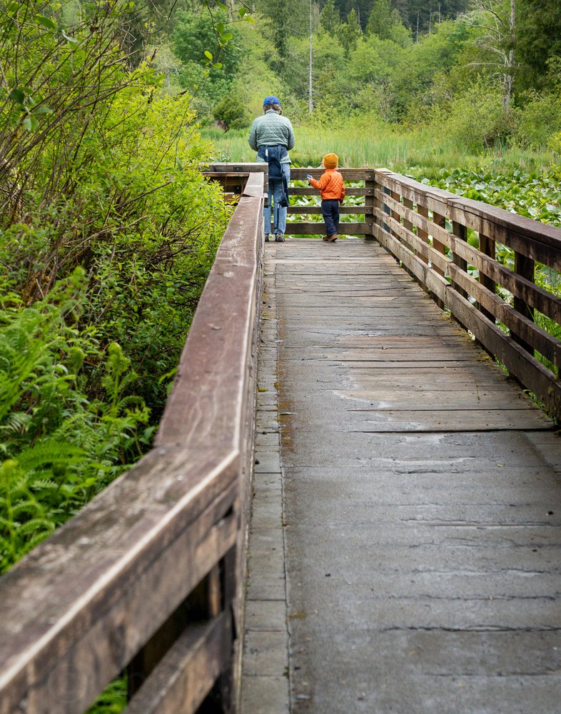 McLane Creek Nature Trail