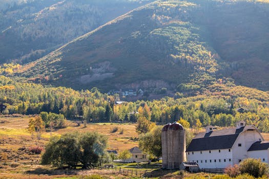 McPolin Farm (White Barn)