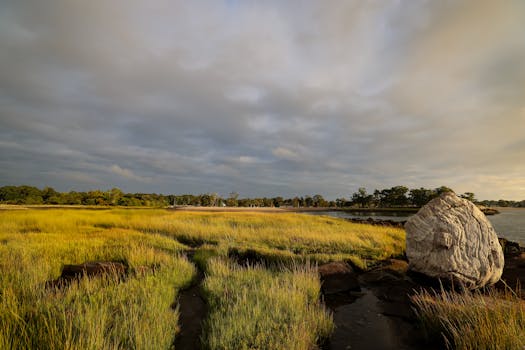 Meadow Park Lake