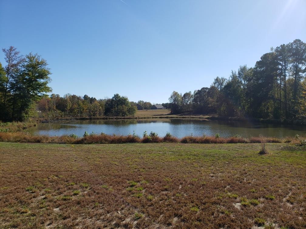 Mendenhall Plantation