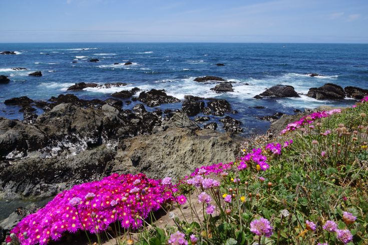 Mendocino Coast Botanical Gardens