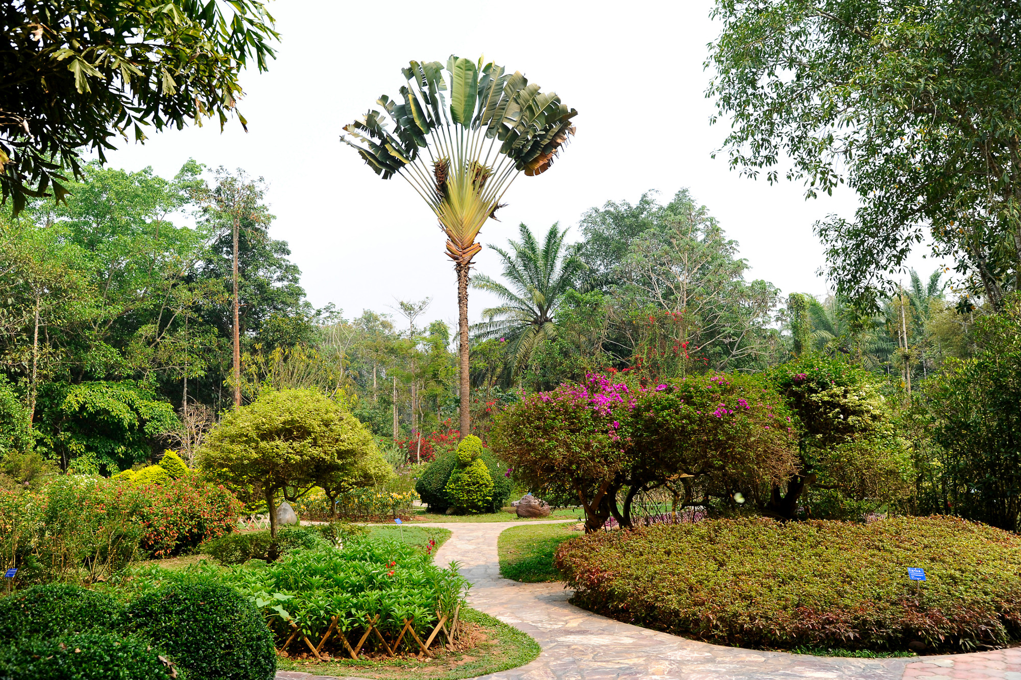 Menglun Tropical Botanical Garden