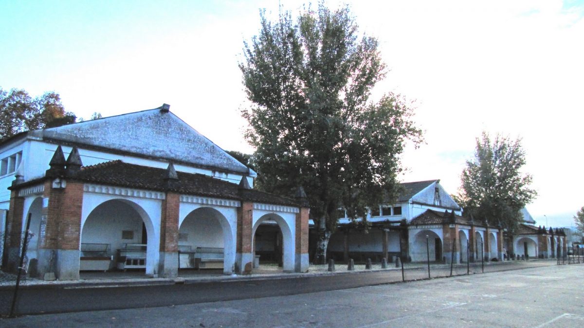 Mercado Municipal de Tomar