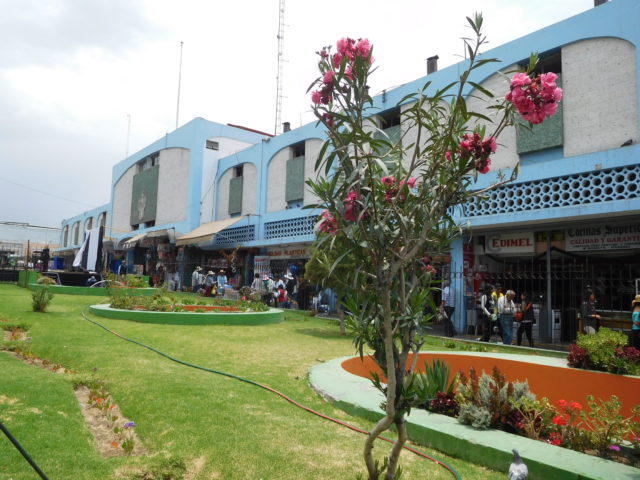 Mercado San Camilo