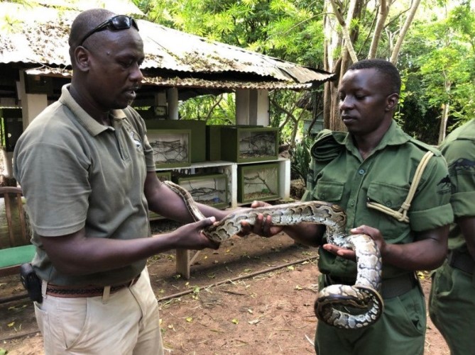 Meserani Snake Park