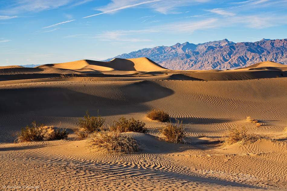 Mesquite Flat Sand Dunes