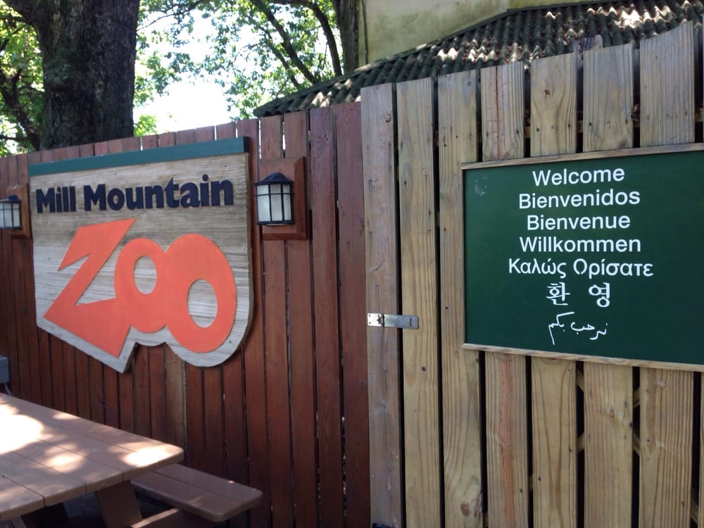 Mill Mountain Zoo