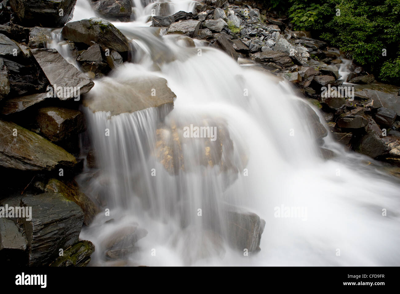 Mineral Creek