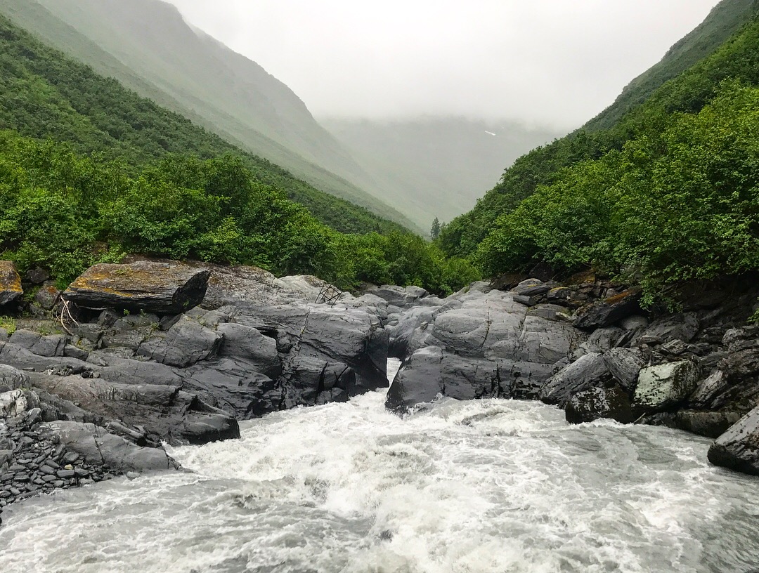 Mineral Creek Trail