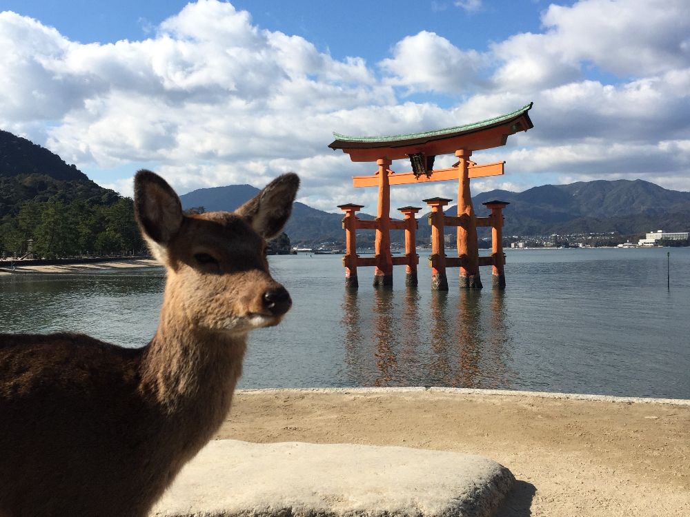 Miyajima Island