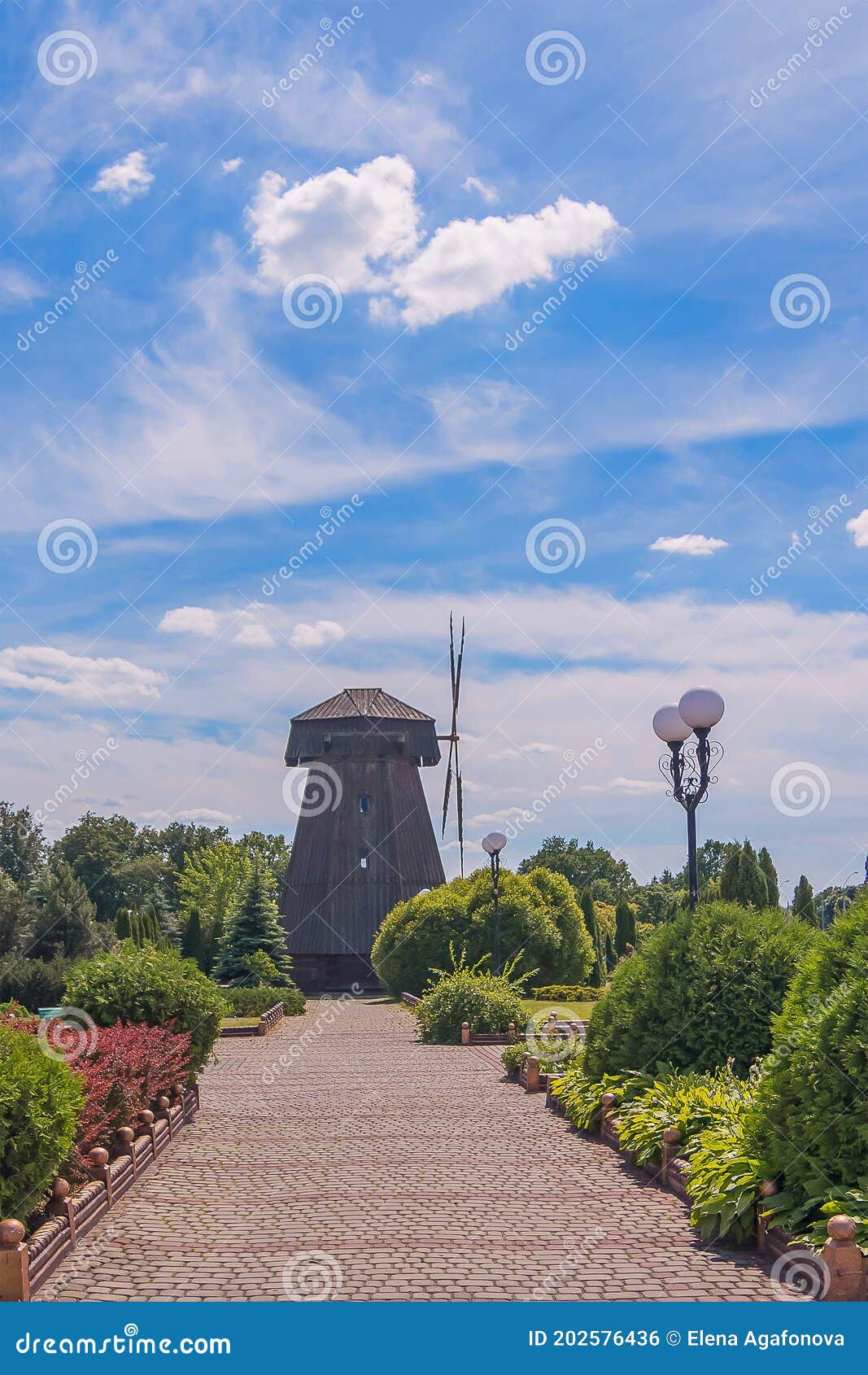 Mogilev Botanical Garden