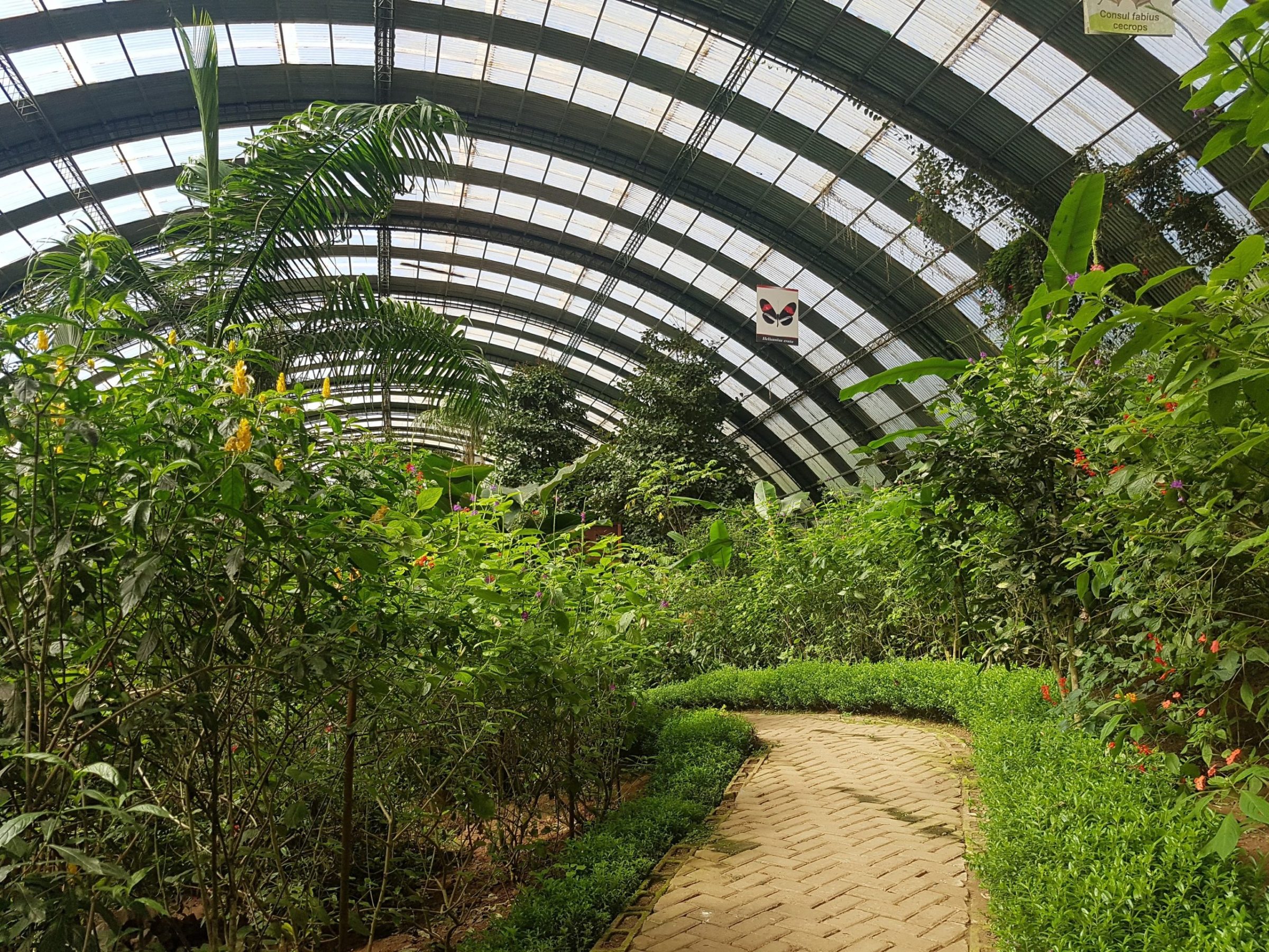 Monteverde Butterfly Garden