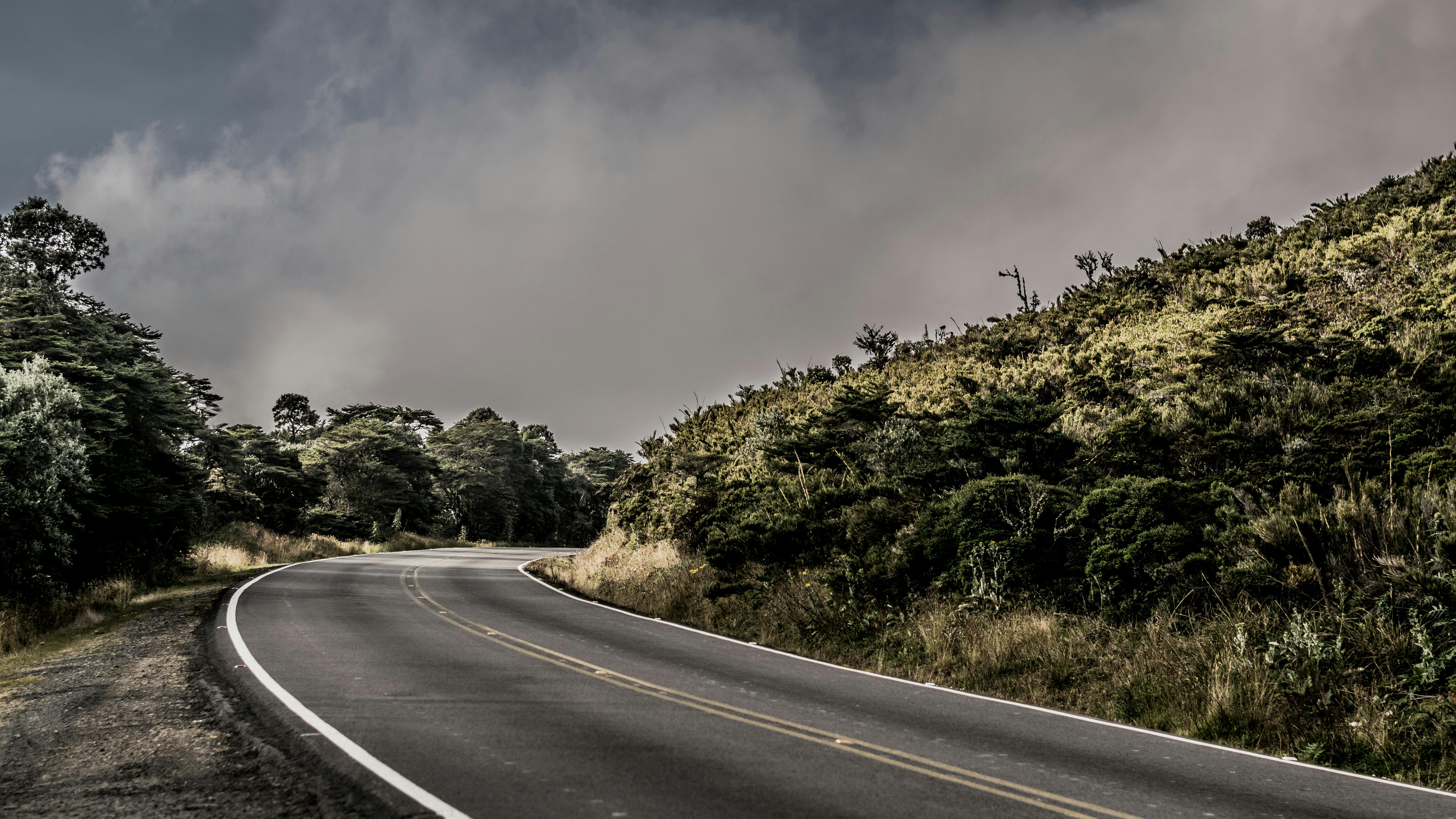 Monteverde Cloud Forest Reserve (day trip)