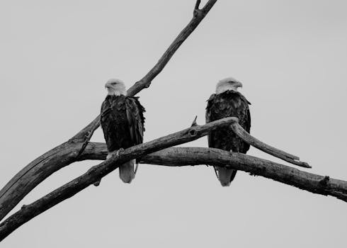 Montezuma National Wildlife Refuge