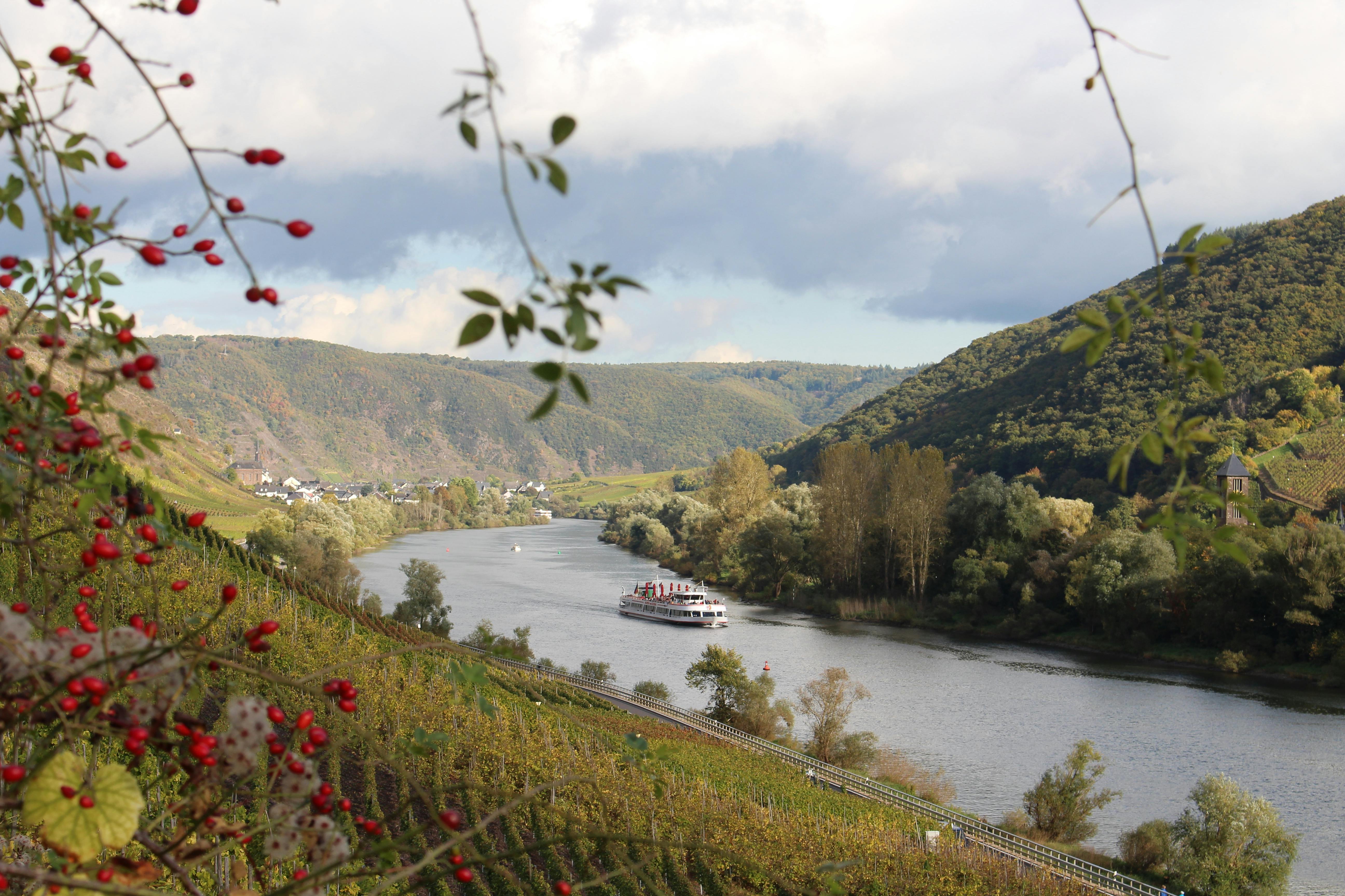 Mosel Valley