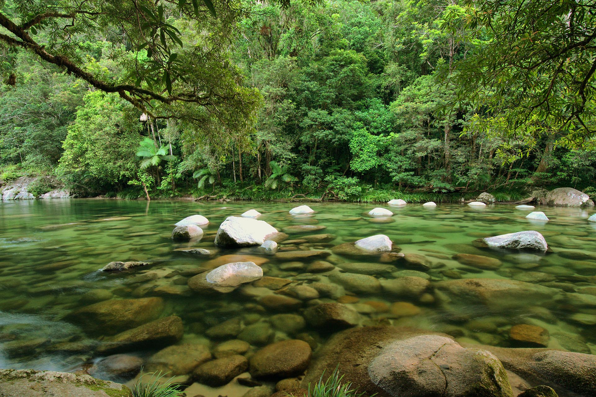 Mossman Gorge