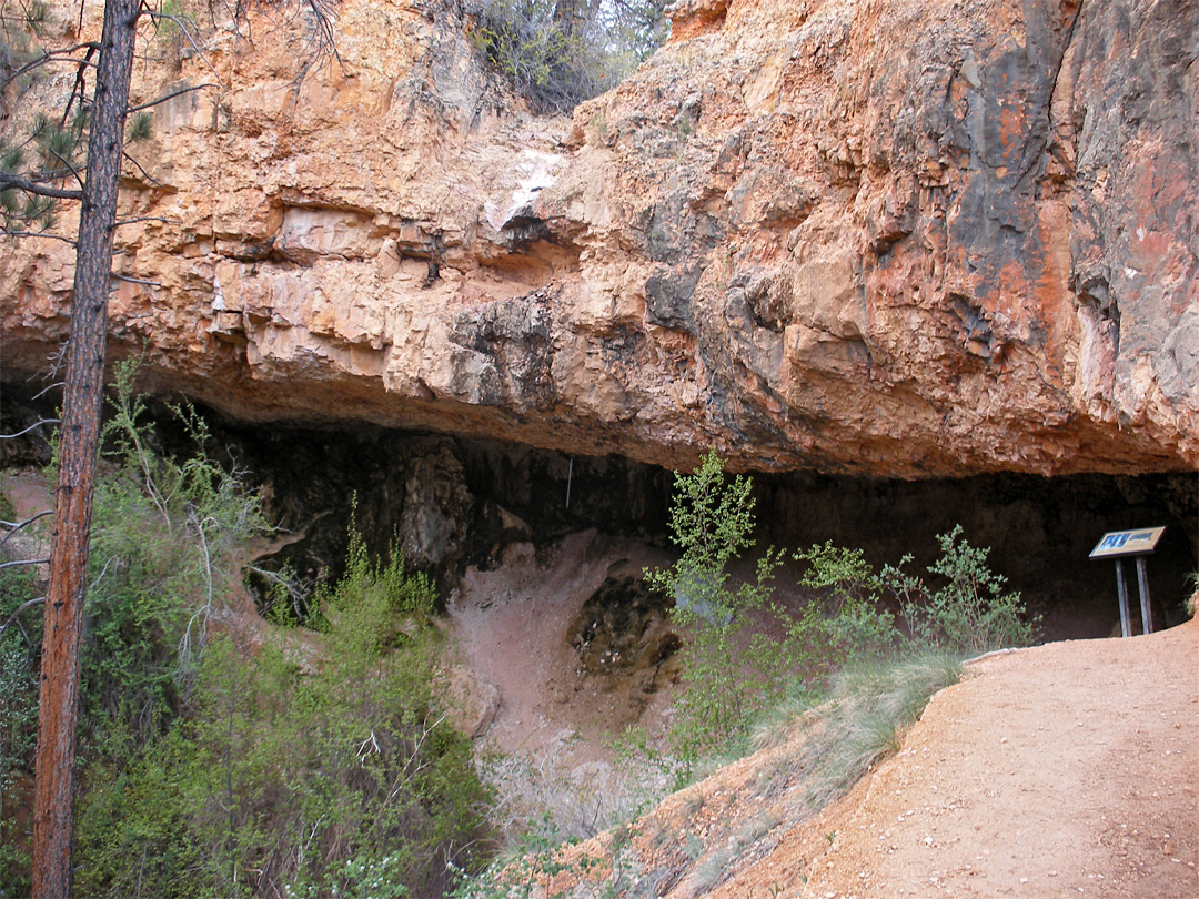 Mossy Cave Trail