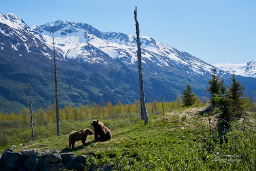 Mount Healy Overlook Trail