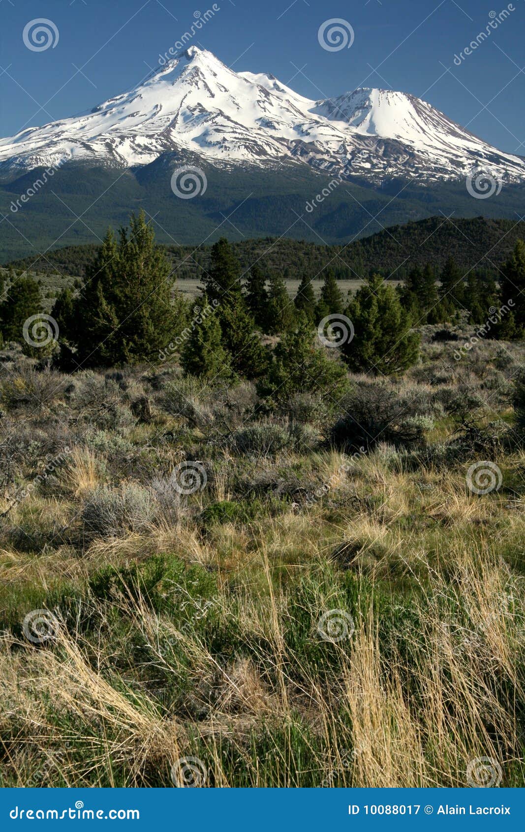 Mount Shasta