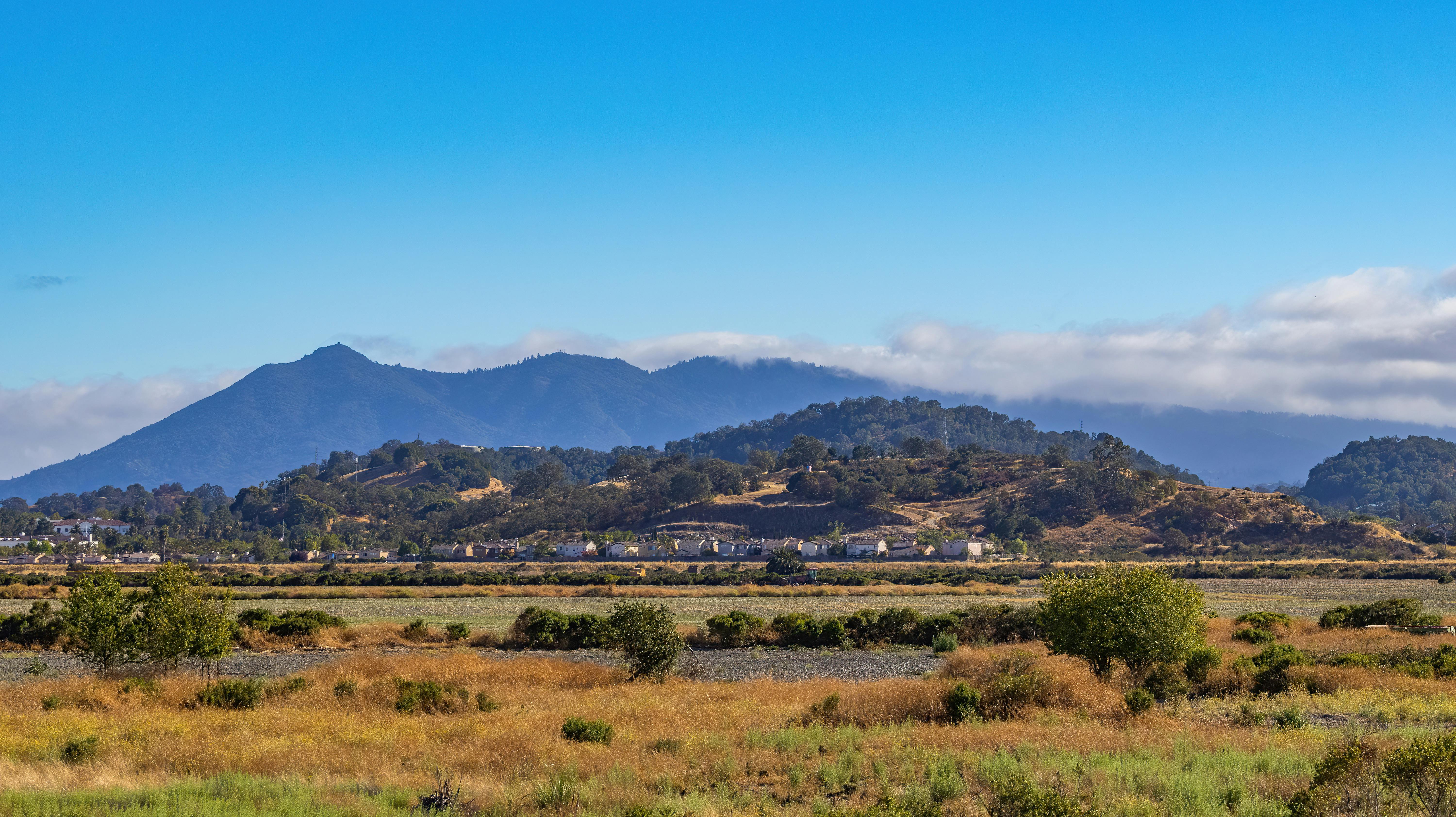 Mount Tamalpais State Park