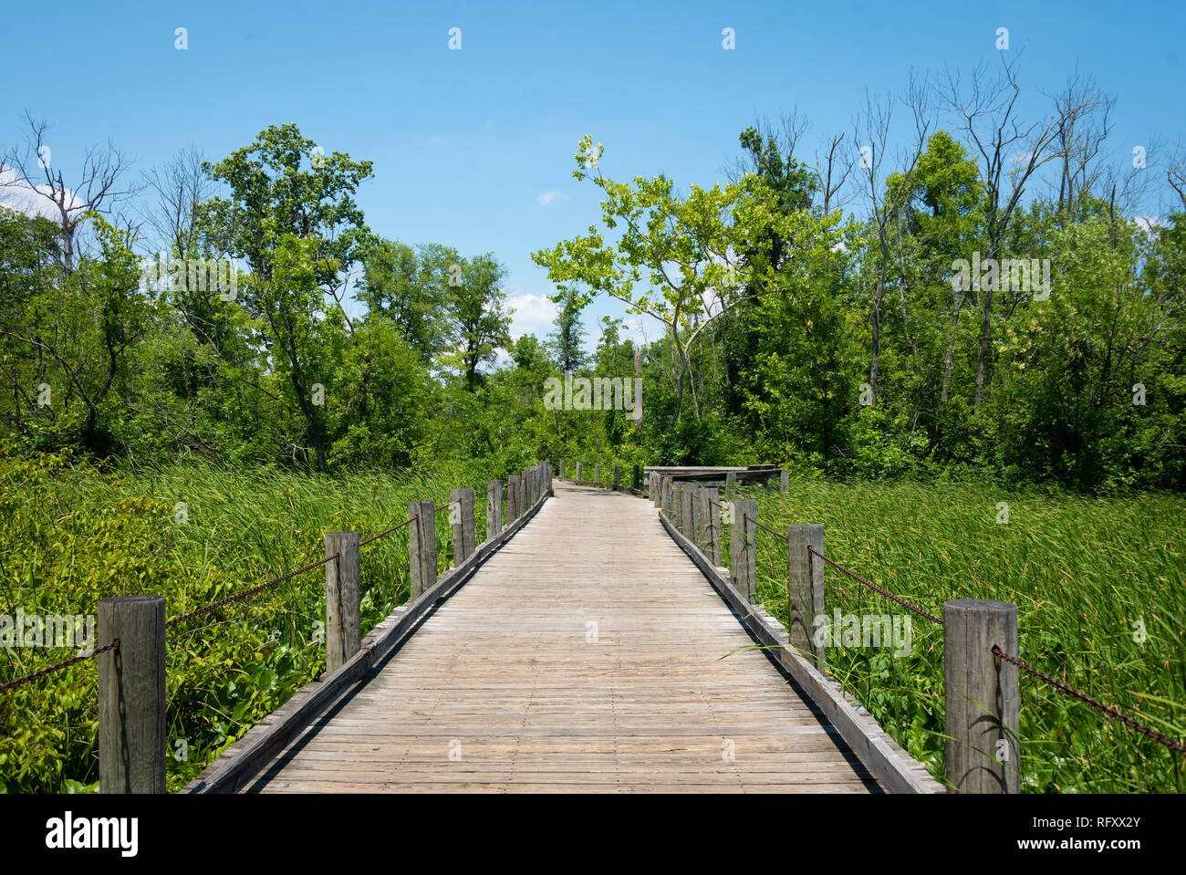 Mount Vernon Trail