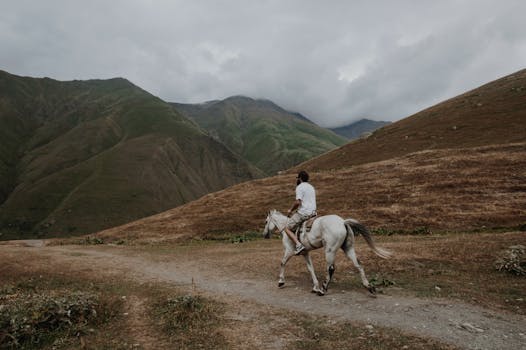 Mountain Equestrian Trails (MET)