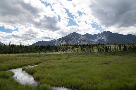 Mud Lake Open Space