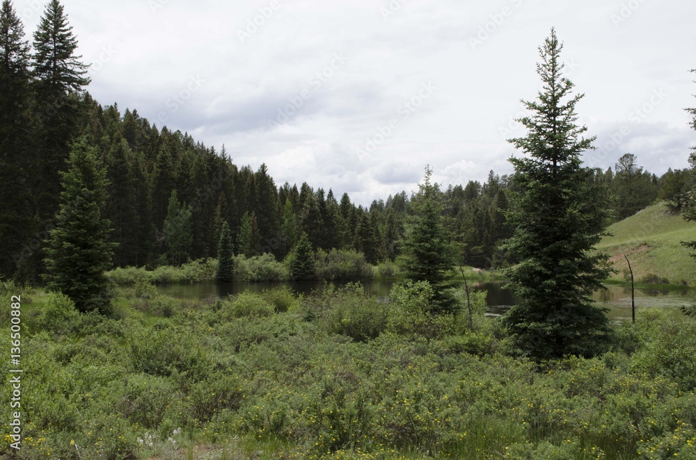 Mueller State Park