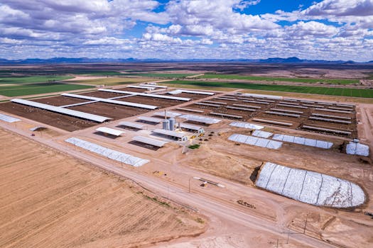 Muleshoe Ranch Cooperative Management Area